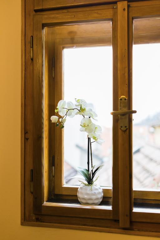 Apartment U Krale Brabantskeho